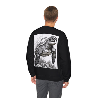 The Sea Turtle Sweater