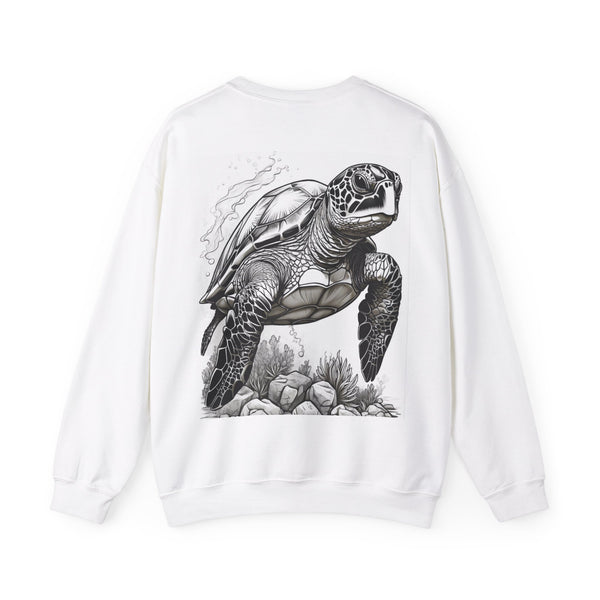 新品♦︎ Plage super100s jersey turtle ニット 追加》super100s Jersey boat/N プルオーバー（Tシャツ／カットソー